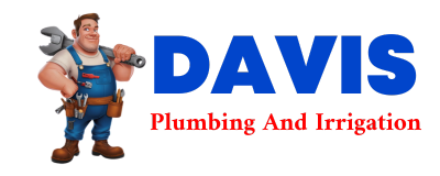 Trusted plumber in EDMORE